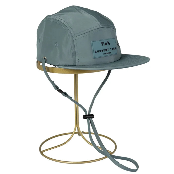 5 Panel