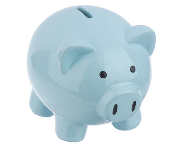 6In Piggy Bank