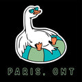 Adult Silly goose T shirt