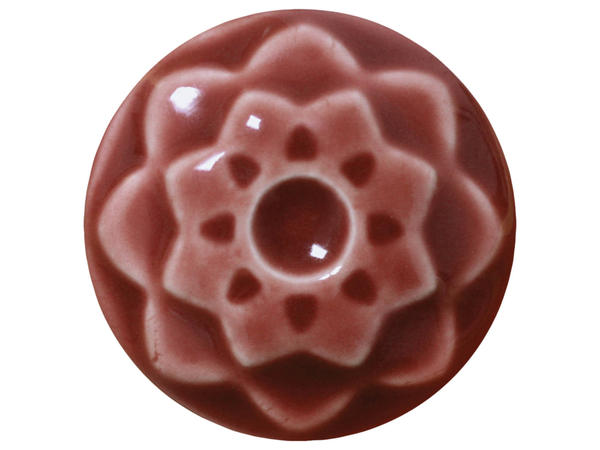 AMACO C53 Weeping Plum