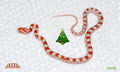 Candy Cane male for sale by South Mountain Reptiles