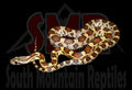 Caramel 31" Male for sale by South Mountain Reptiles