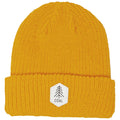 Coal The Scout Beanie
