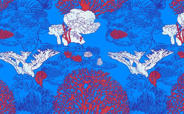 Coral Reef | Wallpaper