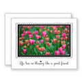 Dancing Queen - Friendship Card
