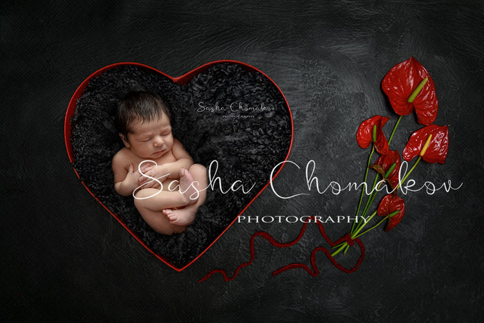 Digital Backdrop