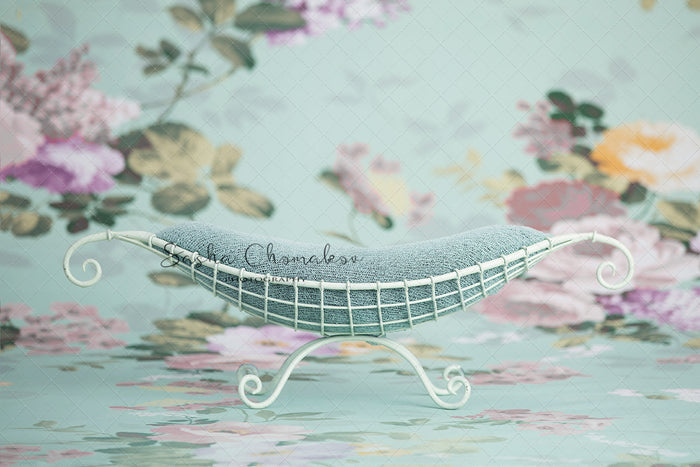 Digital  Backdrop