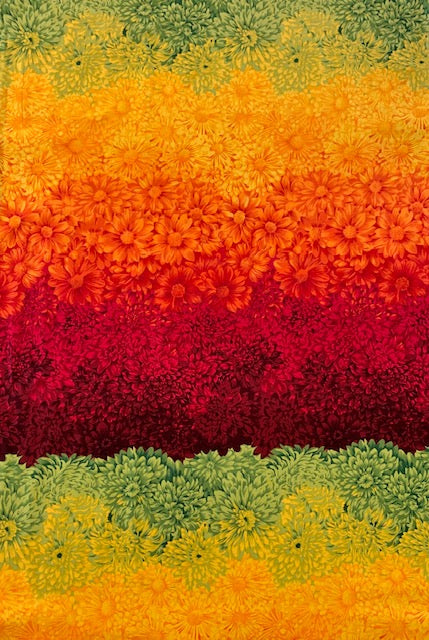 Flower of the Month - Chrysanthemum