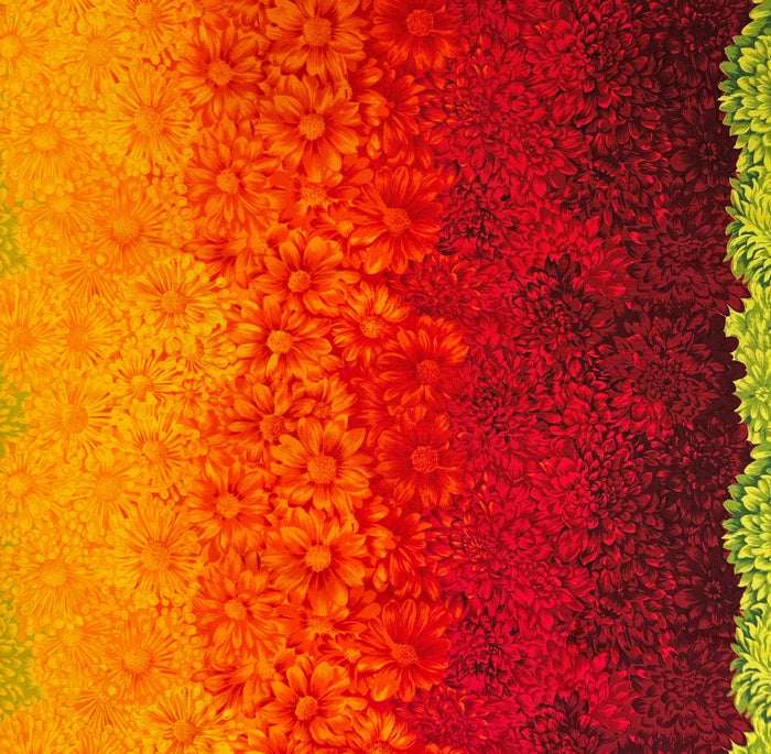 Flower of the Month - Chrysanthemum