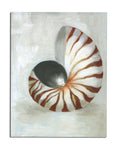 GP162 Nautilus