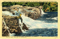 Great Smoky Mountains National Park Trout Fishing in Stream Vintage Postcard 1950 - Vintage Postcard Boutique
