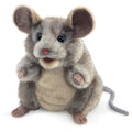 Grey Mouse