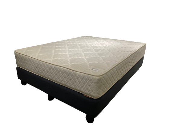 Krisha Bed Box with Mattress