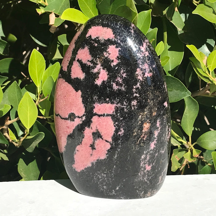 Large Rhodonite Nodule