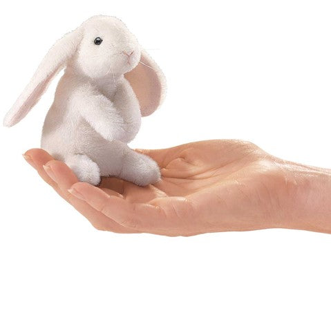 Mini Lop Ear Rabbit FP