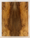 Myrtle Electric Solid Body Guitar Top