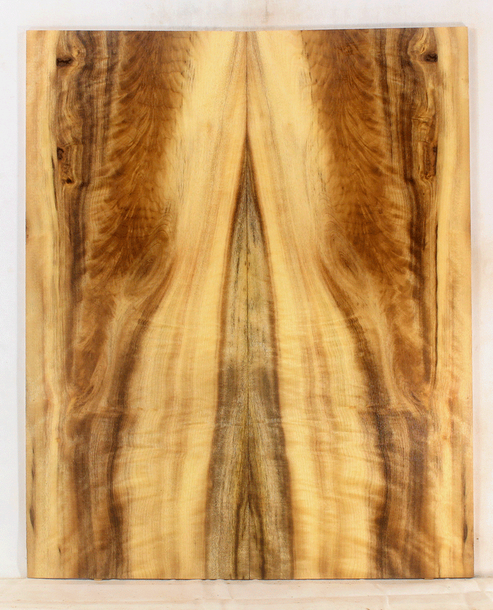 Myrtle Guitar Top
