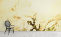 Pale Wall Mural by Walls Need Love•_¨