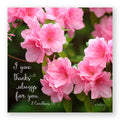 Pink Ruffles (1 Corinthians 1:4) - Frameable Print