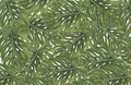PM125 PALM Frond Pattern