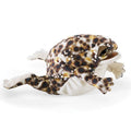 Rain Frog