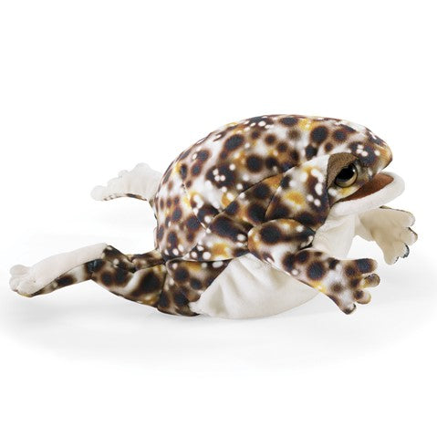 Rain Frog