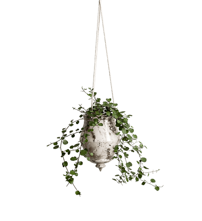 Raku Hanging Cone Planter