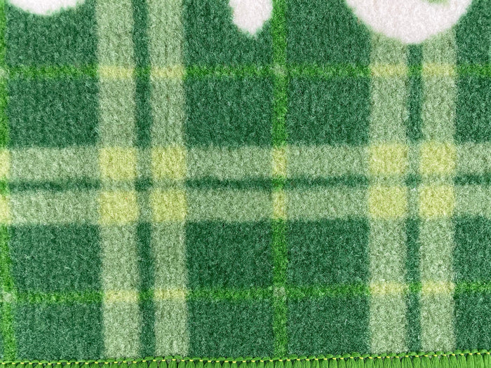 Saint Patrick's Day Lucky Accent Rug