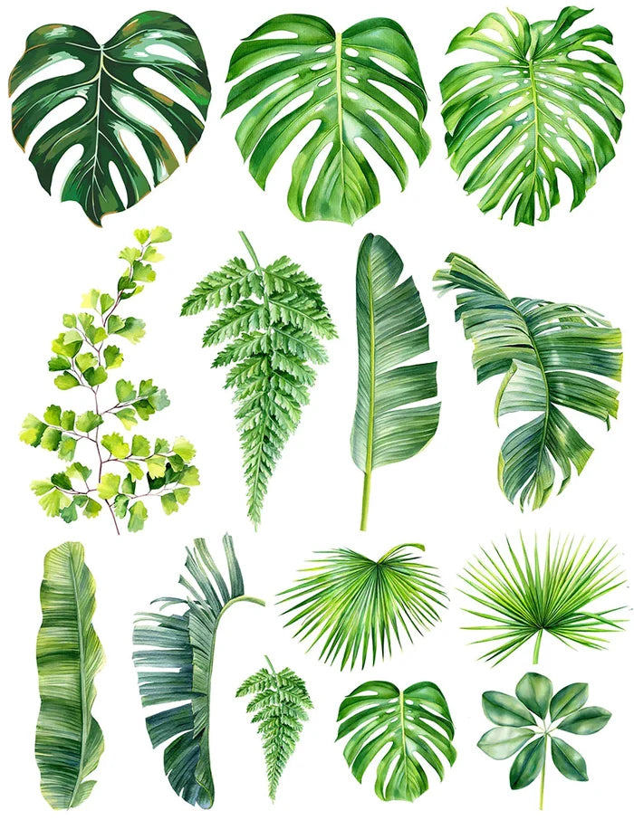 Sanbao Overglaze Palm Leaf