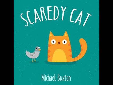 Scaredy Cat