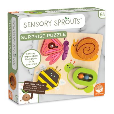 Sensory Surprise Puzzle