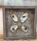 Shadow Box Oyster Shells I painting Amy Christenberry - Christenberry Collection