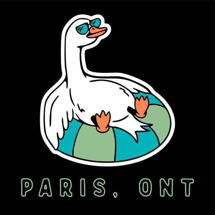 Silly goose T shirt