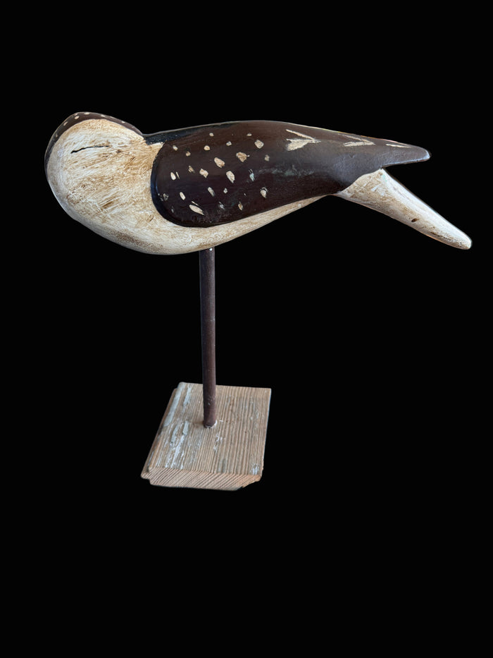 Sleeping Bird