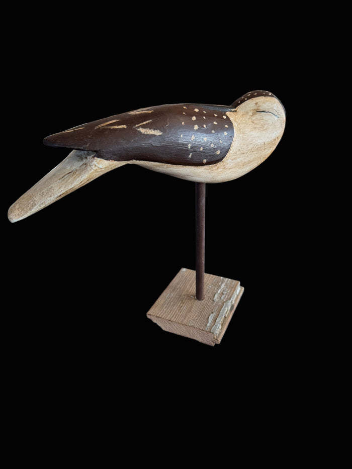 Sleeping Bird