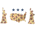 Statutes and USA