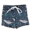 The Finn Trunk
