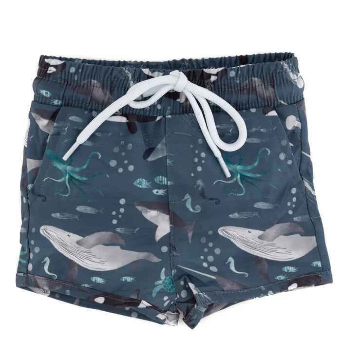 The Finn Trunk