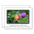 You 'n Me - Friendship Card