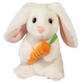 Zen Bunny With Carrot